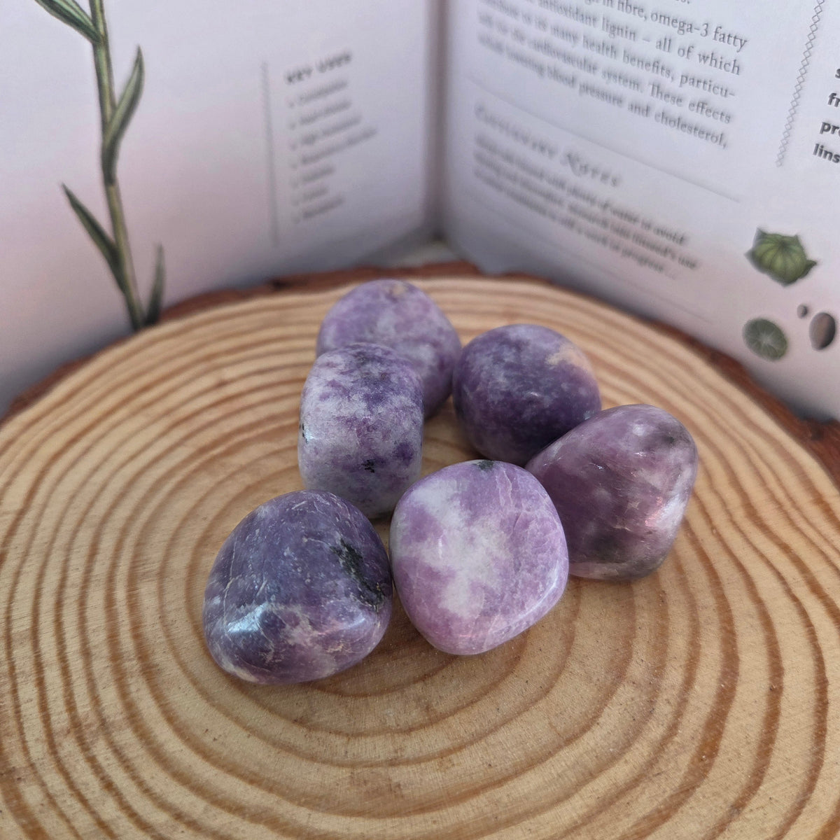 Lepidolite