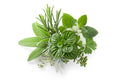 herb 1