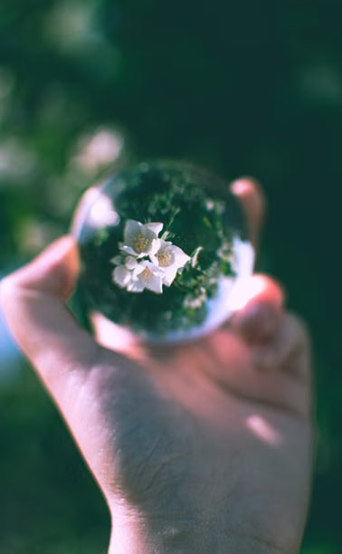 crystal 2